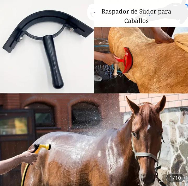 Escrapadora de sudor de caballo